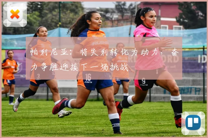 帕利尼亚：将失利转化为动力，奋力争胜迎接下一场挑战